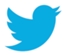 twitter bird small.jpg